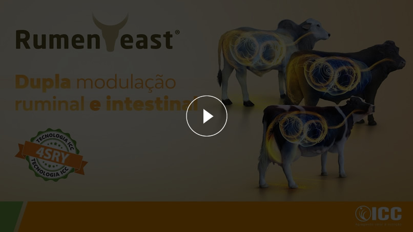 Assista ao vídeo e conheça os benefícios de RumenYeast®