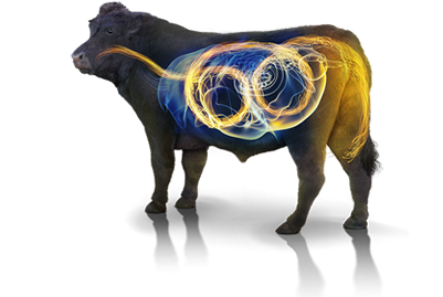 RumenYeast®