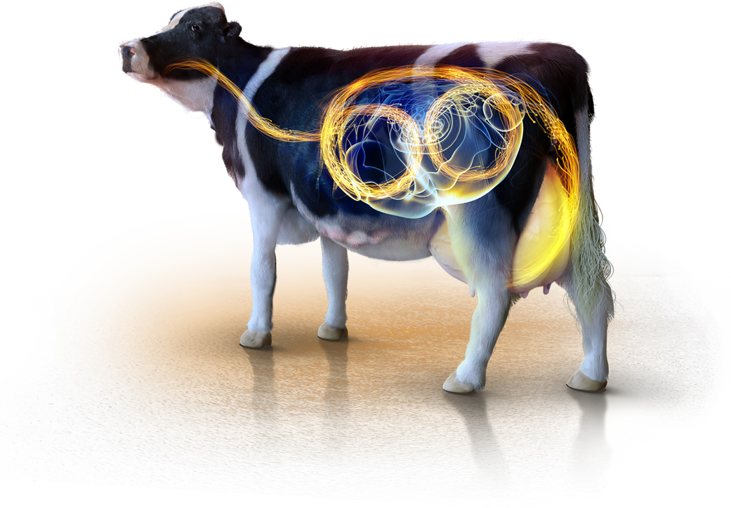 RumenYeast®