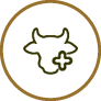Ruminal Health