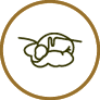 Rumen Digestion
