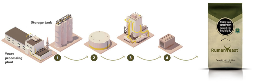PSC yeast > ICC technological process unique and differentiated in 4 Steps: 4SRY